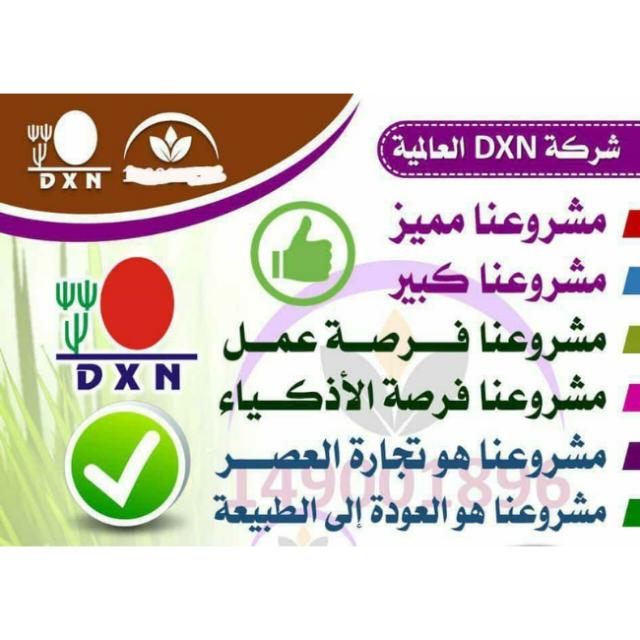 فرصة عمل حر  - AnyQuizi