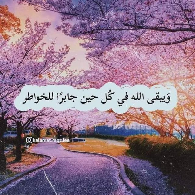 🍃 الطَريِق إِلى الجَنّه 🍃  - AnyQuizi