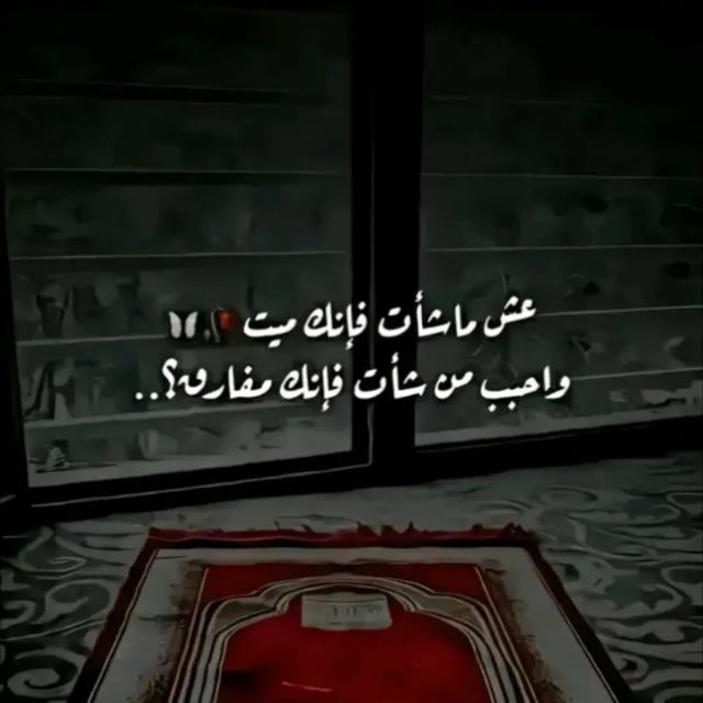 دروب النور  - AnyQuizi