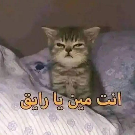 رغي... 🤡🫤  - AnyQuizi