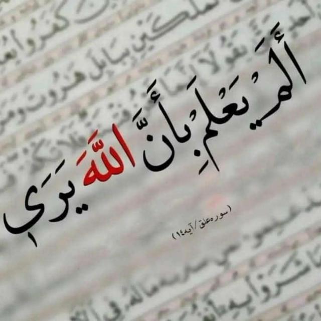 وماكان ربك نسياء🌷🌷🌷🌷🌷كل شي يفيد الدين الاسلامي  - AnyQuizi