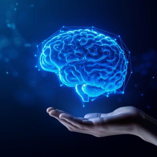 دورة صناعة العباقرة 62  - AnyQuizi