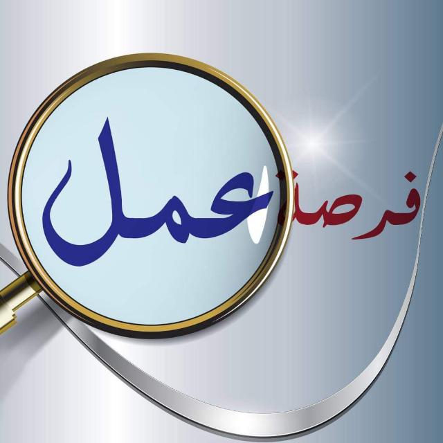 فرصه عمل اسثماريه عن بعد  - AnyQuizi