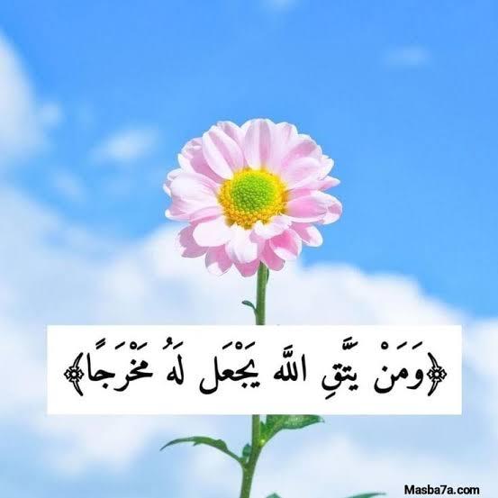 على خطي الرسول ❤️  - AnyQuizi