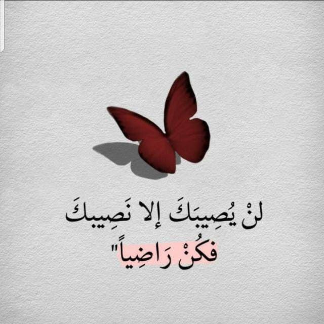 الداعية الصغيرة  - AnyQuizi