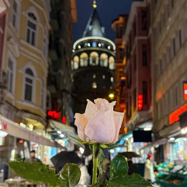 دردشة وتعارف راقي  - AnyQuizi