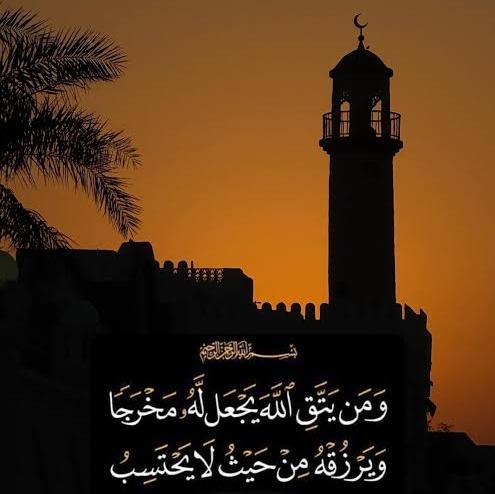 فراشة الإسلام  - AnyQuizi