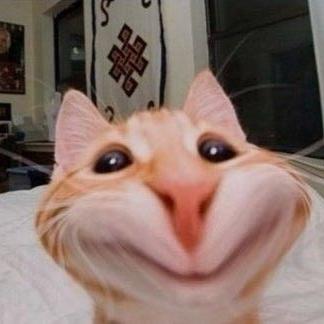 ضحكني شكرا  - AnyQuizi