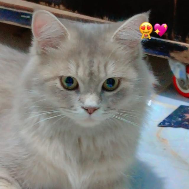 لمتنا أحلى بينا  - AnyQuizi