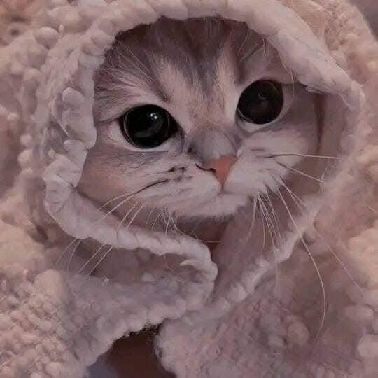 ♥️=>لمتنا متحلاش غير بينا<=💟  - AnyQuizi