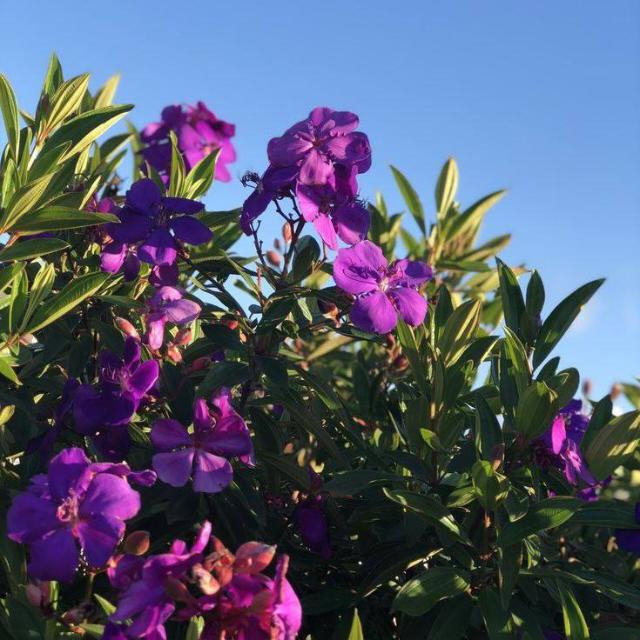 لقاء في الجنة  - AnyQuizi