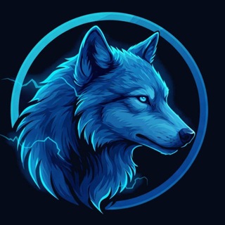 فوركس وولف  - AnyQuizi