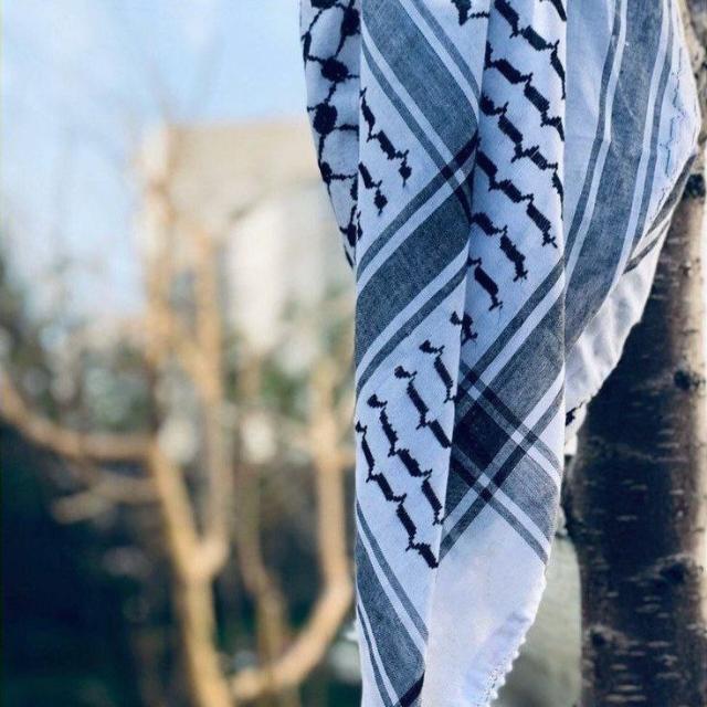 نبض فلسطين  - AnyQuizi