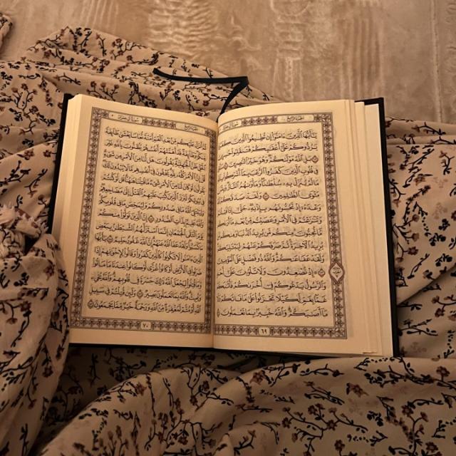 صحبة مع الأنبياء  - AnyQuizi